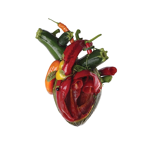 DVD USA - TORN ARTERIES